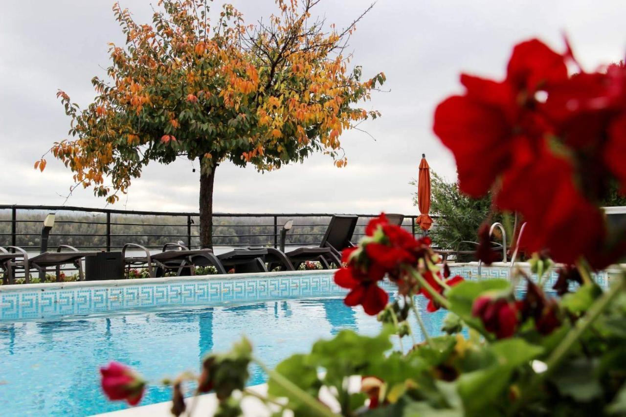 Guest House Panorama Aqualux With Free Parking Novi Sad Exterior photo
